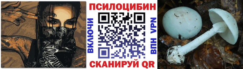 купить наркоту  Сухиничи  маркетплейс состав  Псилоцибиновые грибы MAGIC MUSHROOMS 